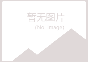 上海金山紫山电讯有限公司